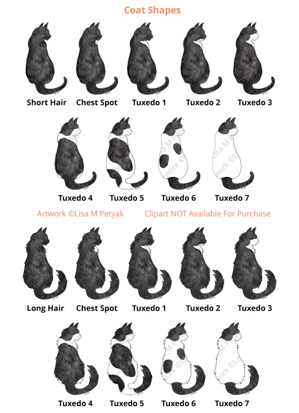 Coat-Shapes-Options